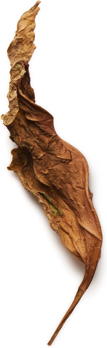 Giorgio Armani Acqua Di Gio Absolu 75ml - Eau De Parfum - Herenparfum - Afbeelding 11